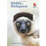 Wildlife of Madagascar