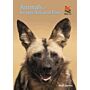Animals of Kruger National Park. Wildlife Explorer Guide