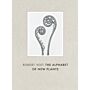 Robert Voit - The Alphabet of New Plants