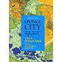 Sponge City - Water Resource Management
