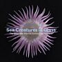 Sea Creatures in Glass - The Blaschka Marine Animals at Harvard