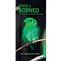 Birds of Borneo, Sabah, Sarawak, Brunei and Kalimantan - Pocket Photo Guide