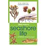 Green Guide to Seashore Life of Britain and Europe