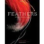 Feathers - Displays of Briliant Plumage