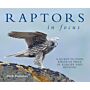 Raptors in Focus - A Quest to Find Birds of Prey in Europe and Beyond
