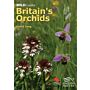 Britain´s Orchids
