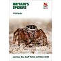 Britain's Spiders  - A Field Guide