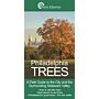 Philadelphia Trees : A Field Guide to the City and the Surrounding Delaware Valley