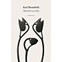 Karl Blossfeldt - Meisterwerke
