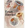 The Art and Science of Ernst Haeckel