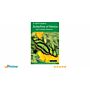 A Swift Guide to the Butterflies of Mexico and Central America (Second Edition)