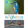 RSPB Spotlight - Kingfishers