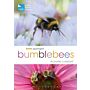 RSPB Spotlight - Bumblebees