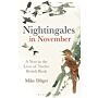 Nightingales in November - A Year in the Life of Twelve British Birds (PBK )
