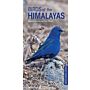 Birds of the Himalaya - Pocket Photo Guide
