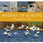 Waders of Europe