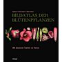 Bildatlas der Blütenpflanzen - 200 botanische Familien im Porträt