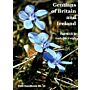 BSBI Handbooks 19 - The Gentians of Britain and Ireland