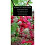 Mabberley's Plant-Book - A Portable Dictionary of Plants, their Classification and Uses