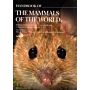 Handbook Mammals of the World - Volume 7: Rodents II