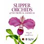 Slipper Orchids of The Tropical Americas