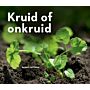 Kruid of Onkruid