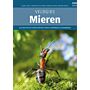 Veldgids Mieren van Europa - Meer dan 400 soorten mieren uit West-Europa