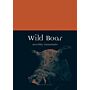 Wild Boar