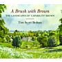 A Brush with Brown - The Landscapes of 'Capability' Brown