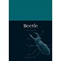 Beetle