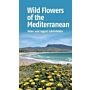 Wild Flowers of the Mediterranean