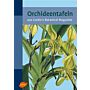 Orchideen tafeln - Aus Curti's Botanical Magazine