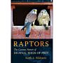 Raptors - The Curious Nature of Diurnal Birds of Prey