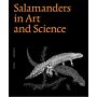 Salamanders in Art and Science