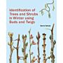Identification of Trees and Shrubs in Winter Using Buds and Twigs