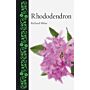 Rhododendron