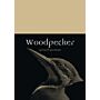 Woodpecker