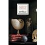 A Parisian Cabinet of Curiosities: Deyrolle