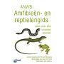 ANWB Amfibieën- en reptielengids - Alles over alle Europese soorten