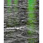 Pamphlet Architecture 36 - Buoyant Clarity