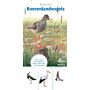 Minigids boerenlandvogels - 50 boerenlandvogels herkennen in een oogopslag