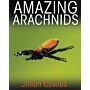 Amazing Arachnids