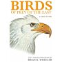 Birds of Prey of the East - A Field Guide