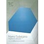 TC Cuadernos 131-132 Nieto Sobejano : Arquitectura 2004-2017