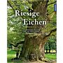 Riesige Eichen - Baumpersönlichkeiten und ihre Geschichte