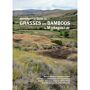 Identification Guide to Grasses and Bamboos in Madagascar