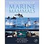 Encyclopedia of Marine Mammals (Third Edition)