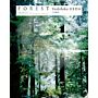 Yoshihiko Ueda: Forest Impressions And Memories, 1989-2017