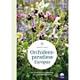 Orchideenparadiese Europas: Die schönsten Orchideenziele von Schweden bis Zypern
