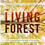 The Living Forest: A Visual Journey Into the Heart of the Woods